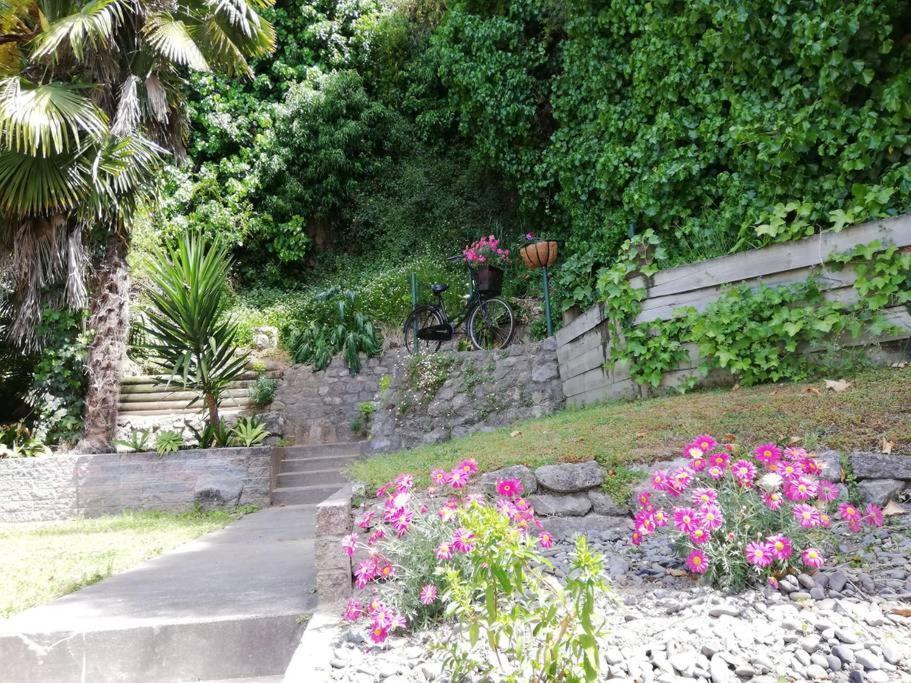 Shakespeare Cottage Нейпир Экстерьер фото